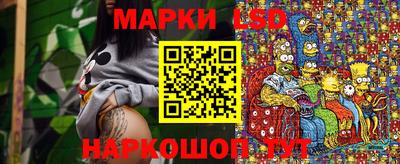 молекула духа Будённовск
