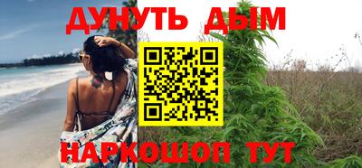 молекула духа Будённовск