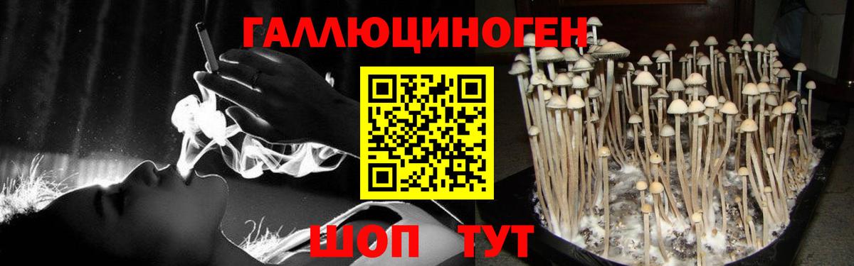 Псилоцибиновые грибы мицелий Балаково