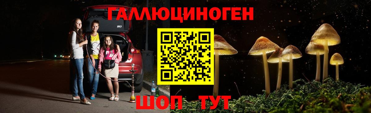 Галлюциногенные грибы прущие грибы  Псилоцибиновые грибы MAGIC MUSHROOMS  Балаково  Вход с VPN 